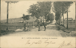 88 LIFFOL LE GRAND / La Route De Chaumont / - Liffol Le Grand