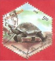 INDIA USATO - 2008 - Aldabra Giant Tortoise - 5 ₨ - Michel IN 2281 - Gebruikt