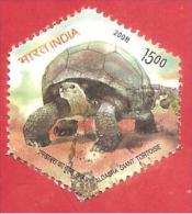 INDIA USATO - 2008 - Aldabra Giant Tortoise - 15 ₨ - Michel IN 2282 RIPARATO - Gebruikt