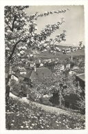 Cp, Suisse, Orbe, Voyagée 1951 - Orbe