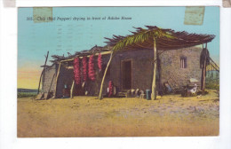 Usa Sent From Texas Fort Bliss Chili Red Pepper Drying In Front Adobe Home - Other & Unclassified