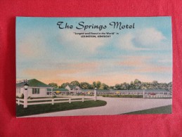 Kentucky > Lexington  The Springs Motel  Not Mailed   Ref 1276 - Lexington