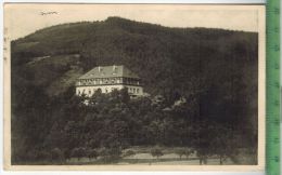 Genesungsheim Etzelbach I. Thür. -, Verlag: Schilling, Uhlstädt, POSTKARTE Besch., Frankatur Mit  Stempel, RUDOLSTADT - Rudolstadt