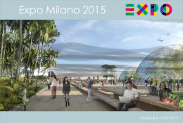 [ T11-021 ]  2015 Italy Milan Expo Universal Exposition , China Pre-stamped Card, Postal Stationery - 2015 – Milán (Italia)