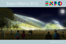 [ T11-025 ]  2015 Italy Milan Expo Universal Exposition , China Pre-stamped Card, Postal Stationery - 2015 – Milano (Italia)