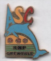 Superbe Pin´s En EGF , Banque ASC BNP Grenoble , Dauphin - Banques