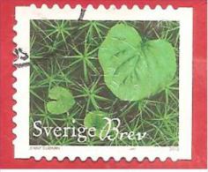 SVEZIA USATO - 2013 - Heart Of Nature - Brev - WNS SE002.13 - AUTOADESIVO - Used Stamps