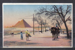 Egypt  Postcard  Pyramides Road   , Unused  , Condition See Scan - Pirámides