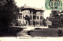 89. Yonne .saint Sauveur  . Le Chateau Des Janets . - Saint Sauveur En Puisaye