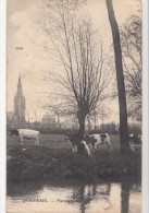 BR40053 Quievrain Paysage Cow  Belgium  Front/back Image - Quievrain