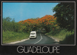 Guadeloupe  -  Basse Terre Et La Soufrière Vues Des Saintes. - Basse Terre