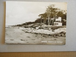 Deutschland -  Küste Am Darß,  Darssküste -  Strand An Den Rehbergen  1969   D116774 - Fischland/Darss