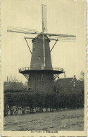 Stabroek :  De Molen    (  Windmolen ) - Stabrök