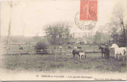 NESLES-la-VALLÉE - Les Grands Herbages - Nesles-la-Vallée