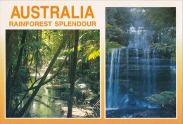Rainforest, Tasmania -  Tas Postcards & Souvenirs, TP 956 Unused - Wilderness