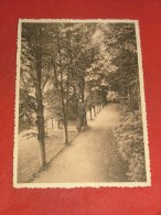 AMAY SUR MEUSE  -  Prieuré Des Moines  - Jardin , Grande Allée  -  1936 - Amay