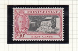 King George VI - 1951 - Montserrat