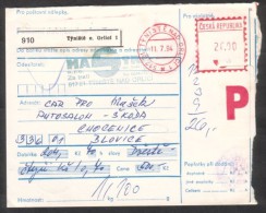 C01725 - Czech Rep. (1994) 517 21 Tyniste Nad Orlici 1 / 336 01 Blovice (postal Parcel Dispatch Note) - Briefe U. Dokumente