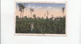 B80932 Nucleo Colonial Gaviao Peixoto Plantacao De Fum  Brazil  Front/back Image - Otros