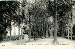 DINAN. Sous Bois De La Fontaine Des Eaux - Dinan