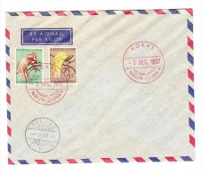 1954 5 + 20 C Paradiesvögel Auf Phil. Brief Mit Rotem Stempel "Kokas Nerderlands Nieuw.Guinea 3.Dec.1957" - Nueva Guinea Holandesa