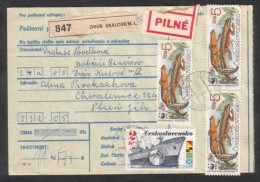 C01771 - Czechoslovakia (1991) 544 02 Dvur Kralove N. L. 3 / 332 05 Chvalenice - WWF Stamp (postal Parcel Dispatch Note) - Cartas & Documentos