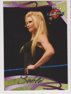 WWE 2004 Fleer Card SABLE Love Wrestling Divas - Trading Cards