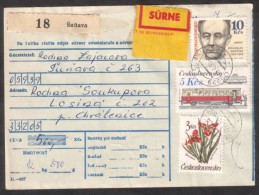 C01776 - Czechoslovakia (1992) 059 39 Sunava / 332 05 Chvalenice (postal Parcel Dispatch Note) - Cartas & Documentos