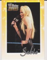 WWE 2003 Fleer Card SABLE Wrestling Divine Divas - Trading Cards