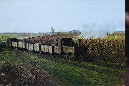 LOCOMOTIVE PITHIVIERS A TOURY - Trains