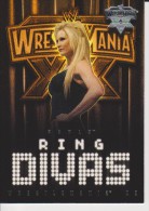 WWE 2004 Fleer Card SABLE Wrestlemania XX Ring Divas - Trading Cards