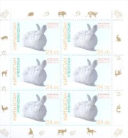 2011. Kyrgyztsan, Year Of The Rabbit, Sheetlet Perforated, Mint/** - Kirghizistan