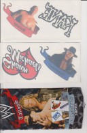WWE Wrestling Tattoos By Topps Europe 2008 KANE And SHAWN MICHAELS - Bekleidung, Souvenirs Und Sonstige
