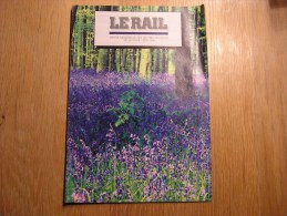 LE RAIL Bruxelles Paris (1) Thalys  Régionalisme Revue 6/1996 Mensuel SNCB NMBS Chemins Fer Train Autorail - Chemin De Fer & Tramway