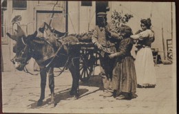 ITALY Carts DONKEY. COSTUME - Unclassified