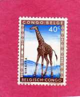 BELGIAN CONGO BELGA BELGE 1959 FAUNA GIRAFFE GIRAFFA ANIMAL ANIMALE CENT. 40c MNH - Nuevos