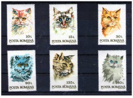 Romania - 1993 - Usato/used - Gatti - Mi N. 4885/90 - Used Stamps