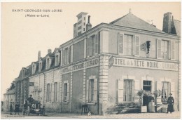 SAINT GEORGES SUR LOIRE - Hotel De La Tête Noire - Saint Georges Sur Loire