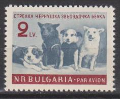 Bulgarie N° PA 81 *** Les Chiens De L'espace : Streka - Tchernouchka - Zvezdotchka - Belka - 1961 - Poste Aérienne