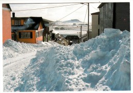 Saint Pierre Et Miquelon - Saint Pierre - La Rue De L'Espérance En Hiver - Editeur: Briand N°13.83 149.71 - Saint-Pierre-et-Miquelon