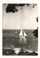 Cp, Voile, Noirmoutier (85) - Yachting Au Bois De La Chaize - Voile