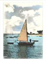 Cp, Voile, Noirmoutier (85) - Yachting Dans La Baie Des Dames - Vela