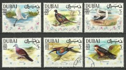 UAE (Dubai); 1968 Arabian Gulf Birds - Dubai