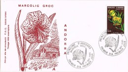 7901. Carta F.D.C. ANDORRA Francesa 1980. Flora, Marcolic Groc - Storia Postale