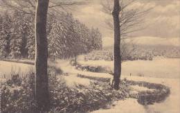 CPU31/  Alexandre Herld Photographe Camp Elsenborn, Camp Elsenborn Paysage Hiver - Elsenborn (camp)