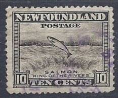 140011978  NEWFOULAND (TERRANOVA)  YVERT    Nº  179A - 1908-1947