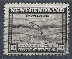 140011979  NEWFOULAND (TERRANOVA)  YVERT    Nº  179A - 1908-1947