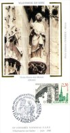 CARTE MAXIMUM - N° 2647 - Notre-Dame De Marais - VILLEFRANCHE SUR SAONE - 1990-1999