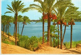 - EGYPT. - ASSWAN. - Beautiful View Of The Nile At Asswan - 15x11 - Scan Verso - - Aswan