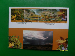 ECOLOGIA 1993 Environment Climate MAXIMUM Card  Animali Iguana 4 Valori Se Tenant - Lettres & Documents